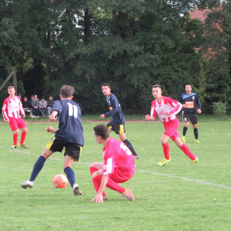 IMG_3556 IMG_3556